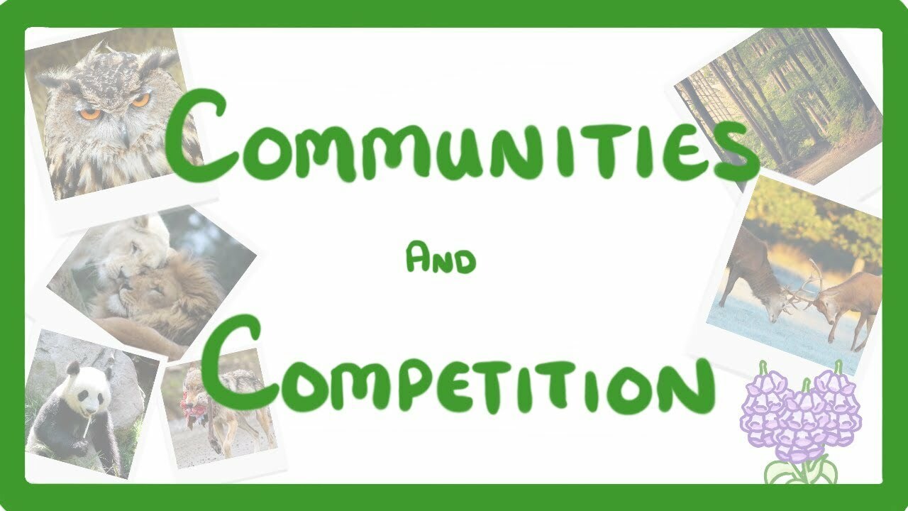 GCSE Biology - Interdependence - Community and Competition #84